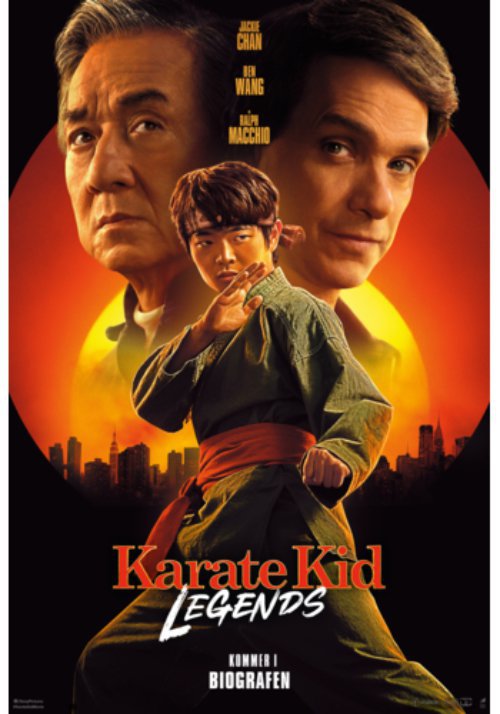 Karate Kid: Legends