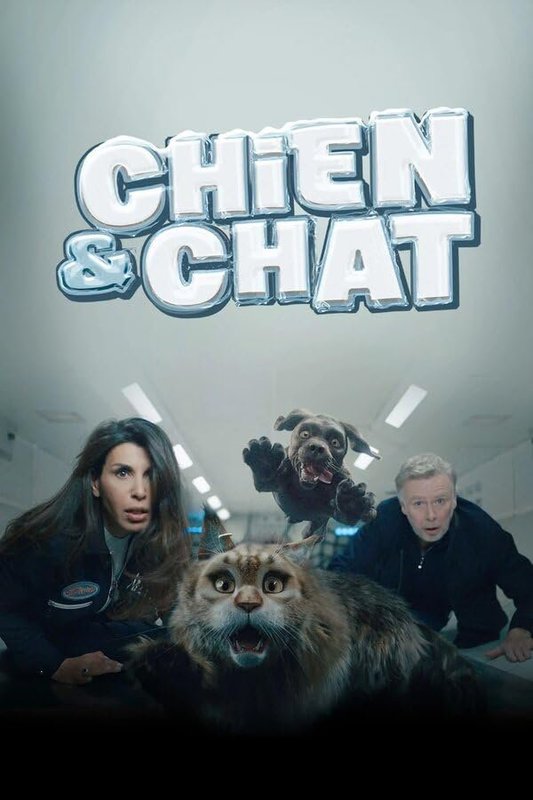 Chien & chat